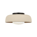 Liora 1L Flush Mount - SCRJFM169AIISOEG
